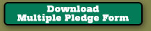 Download Mulitiple Pledge Form